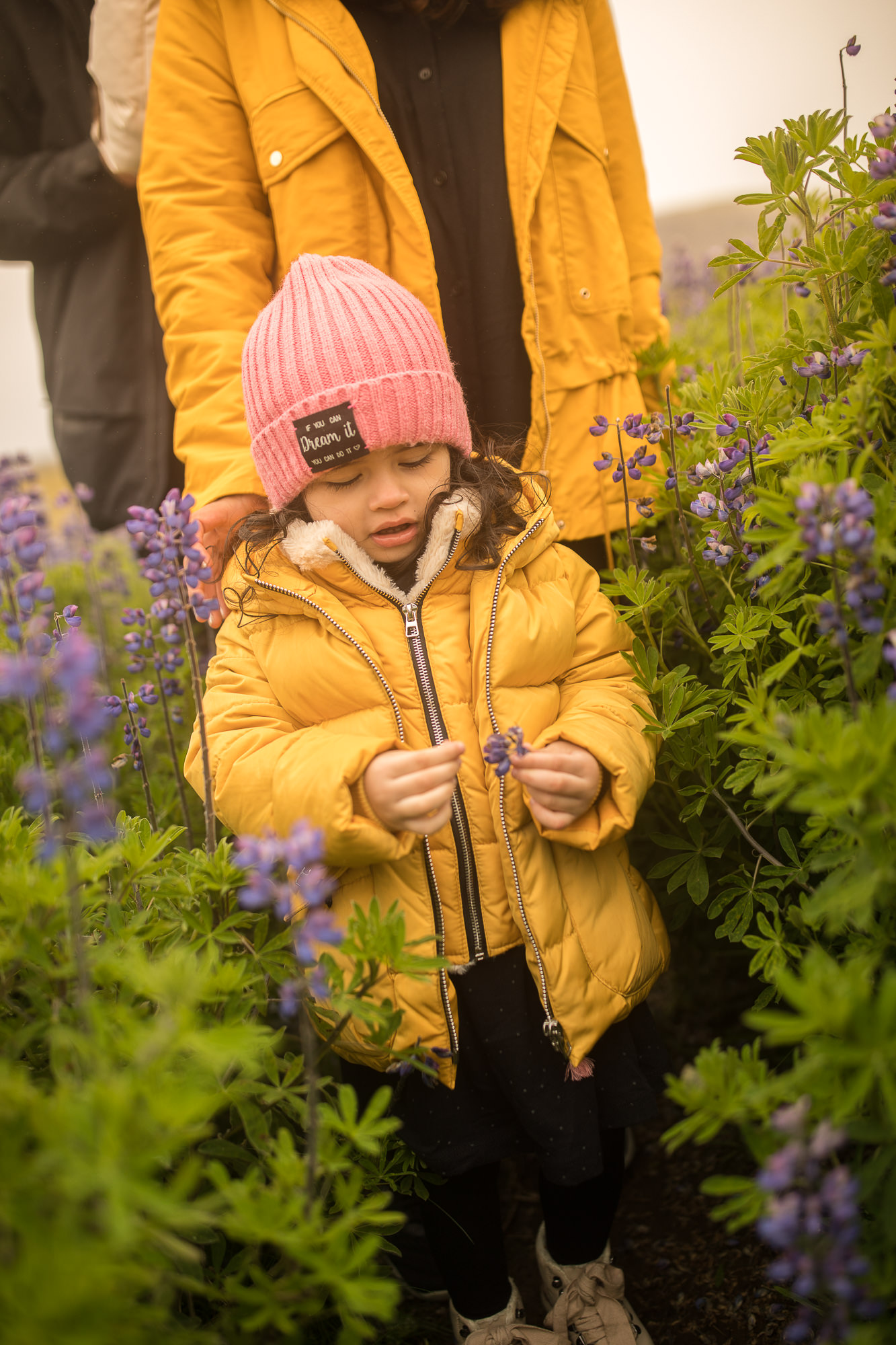 Export x3 5D4 8568 Gaby & German @ Reykanesviti